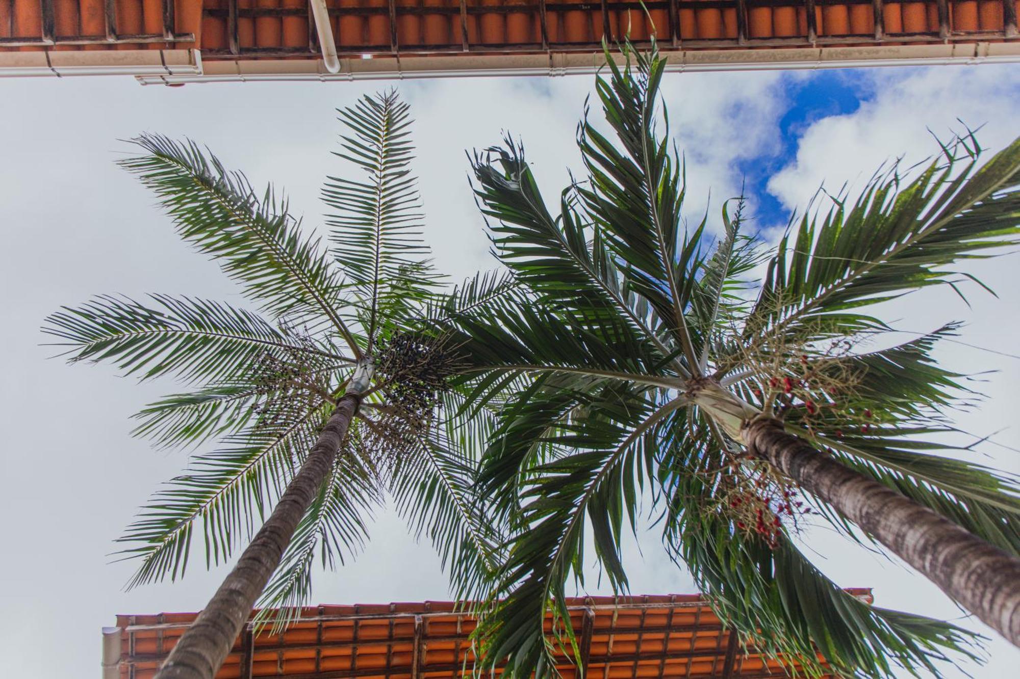 Pousada D' Areia Barreirinhas Dış mekan fotoğraf